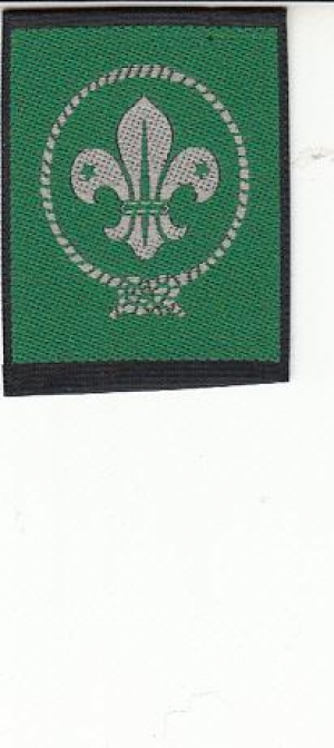 BELGIUM FSC Scout & Guides Association Official Emblem Backpatch Jacket Badge 
