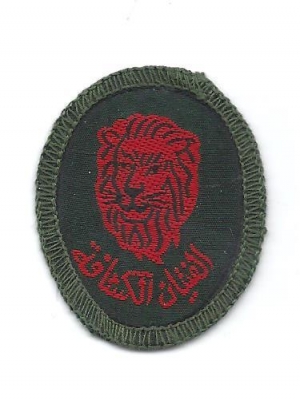 Air Raid WARDEN Cloth Shoulder Cloth Badge Embroiderry on Black New* PAIR 