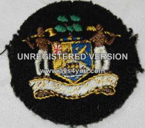 [Badge Image]