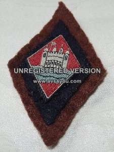 [Badge Image]