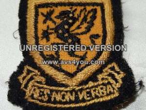 [Badge Image]