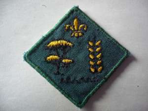 [Badge Image]