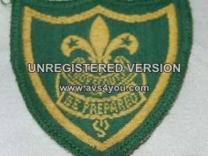 [Badge Image]