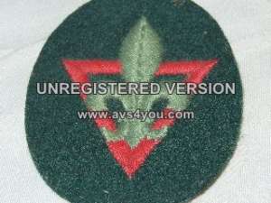 [Badge Image]