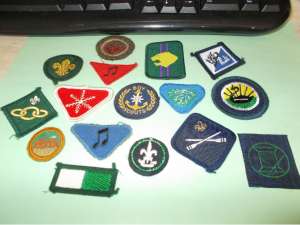 [Badge Image]