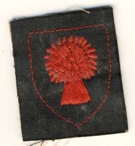 [Badge Image]