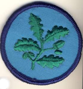 [Badge Image]