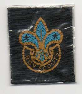[Badge Image]