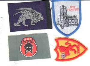 [Badge Image]