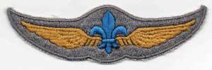 [Badge Image]