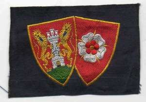 [Badge Image]
