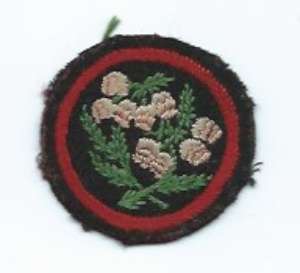 [Badge Image]