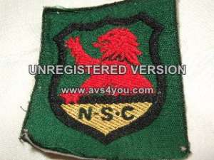 [Badge Image]