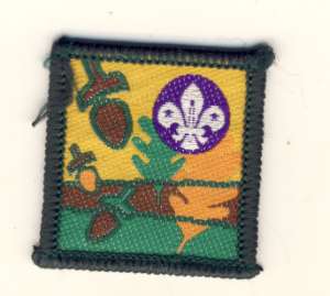 [Badge Image]