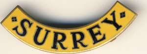 [Badge Image]