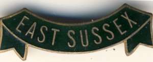 [Badge Image]