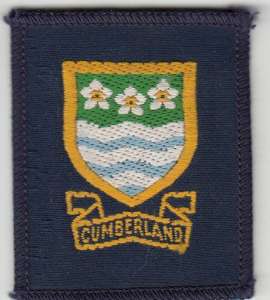 [Badge Image]