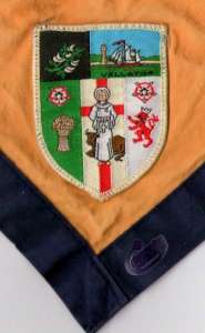 [Badge Image]