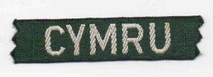 [Badge Image]