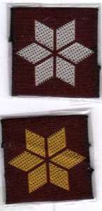 [Badge Image]
