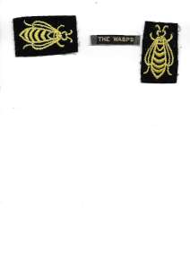 [Badge Image]