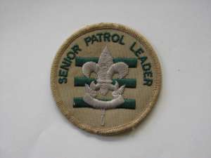 [Badge Image]