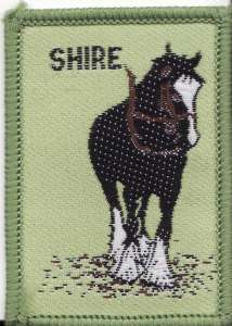[Badge Image]
