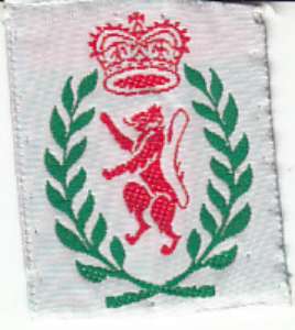 [Badge Image]