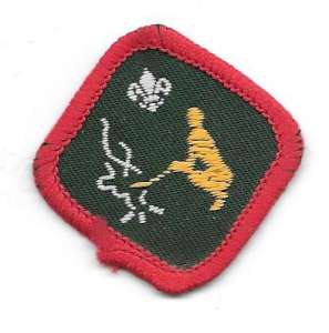 [Badge Image]
