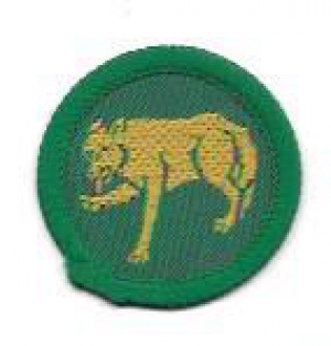 [Badge Image]