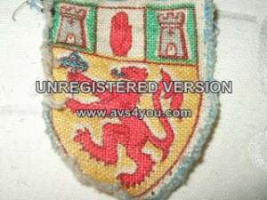 [Badge Image]
