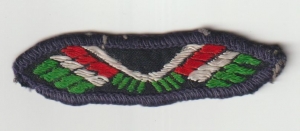 [Badge Image]