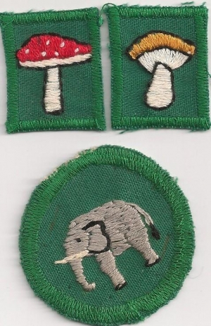 [Badge Image]