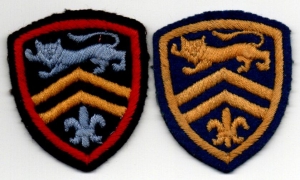 [Badge Image]