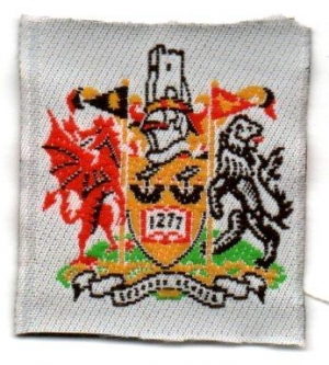 [Badge Image]