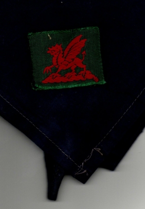 [Badge Image]