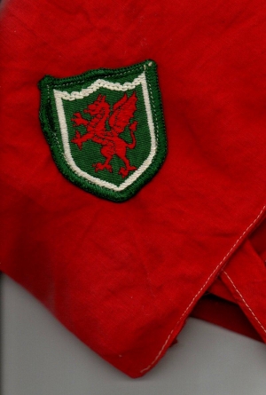 [Badge Image]