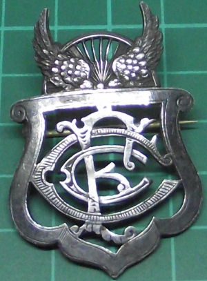 [Badge Image]