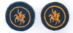 [Badge Image]