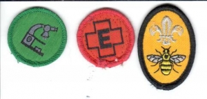 [Badge Image]