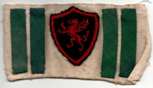 [Badge Image]