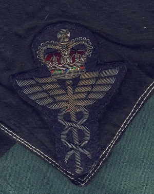 [Badge Image]