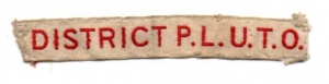 [Badge Image]