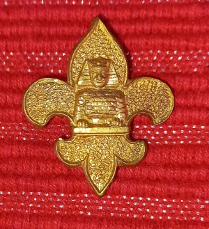 [Badge Image]