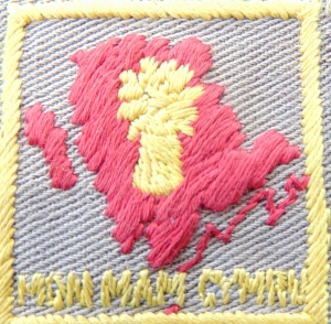 [Badge Image]