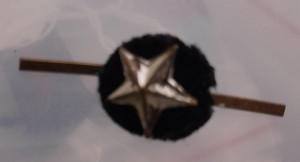 [Badge Image]