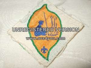 [Badge Image]