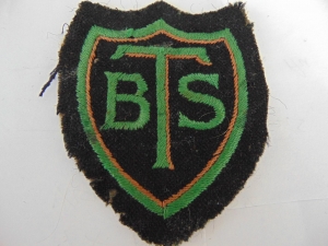 [Badge Image]