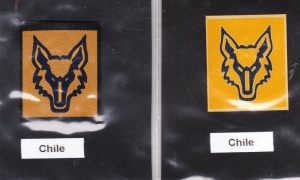 [Badge Image]