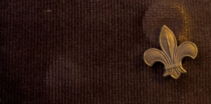 [Badge Image]
